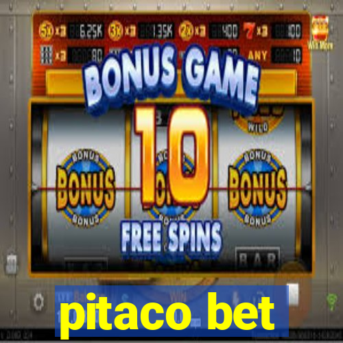 pitaco bet